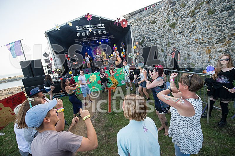 Vale Earth Fair 2017_PRESS EDIT-8 - VALE EARTH FAIR 2017_THE PRESS EDIT