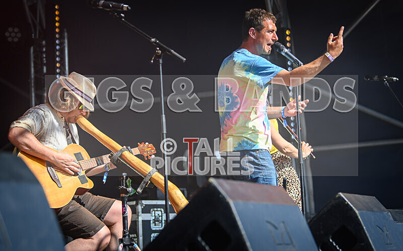 Buffalo Hudleston-735 - BUFFALO HUDLESTON