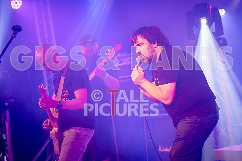 Foxy Stoat Seeks Pig-11 - FOXY STOAT SEEKS PIG