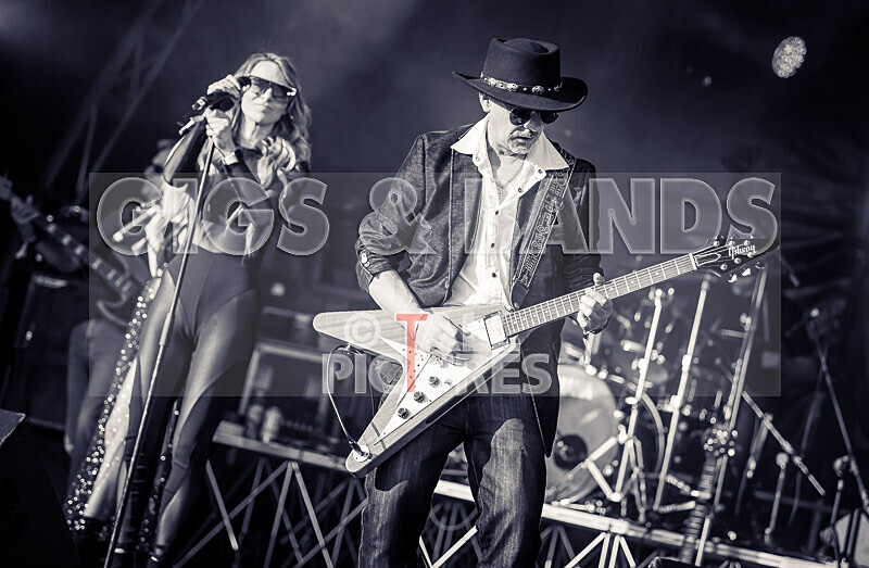 Element 6-64 - ELEMENT 6