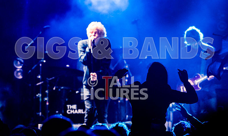 The Charlatans-121 - THE CHARLATANS