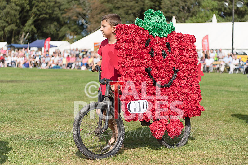 North Show 2017-51 - NORTH SHOW 2017