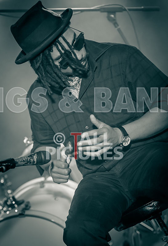 The Rectory Hill Skillet Lickers-5 - VALE EARTH FAIR UNPLUGGED 2018