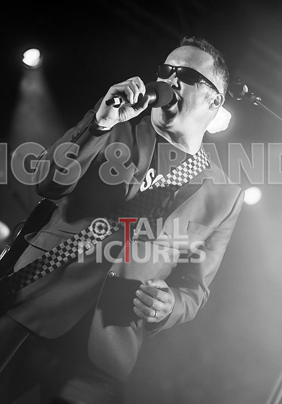 Sons of the Desert-353 - SONS OF THE DESERT