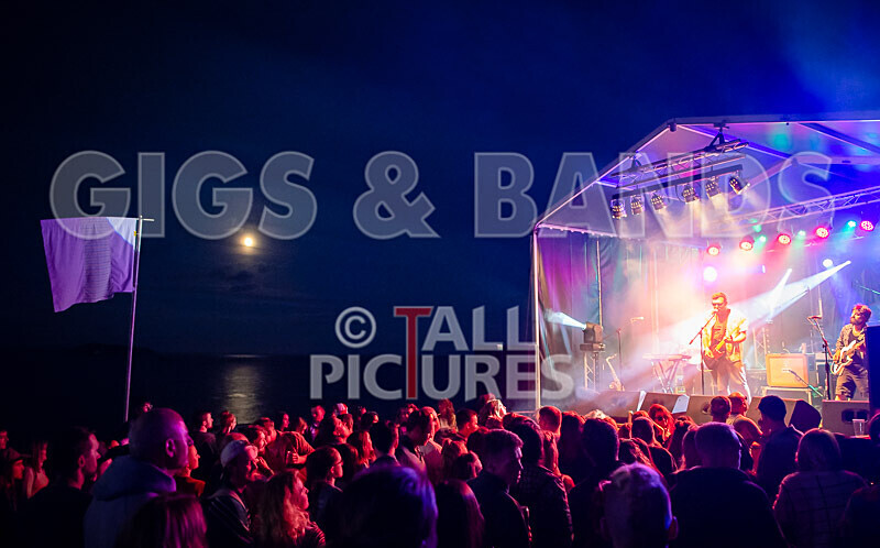 Vale Earth Fair 2020_THE SCENE-4 - VALE EARTH FAIR 2020_THE SCENE