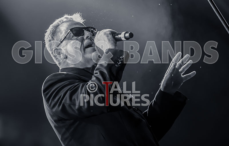 Madness-51 - MADNESS