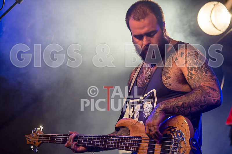 Static Alice-368 - STATIC ALICE