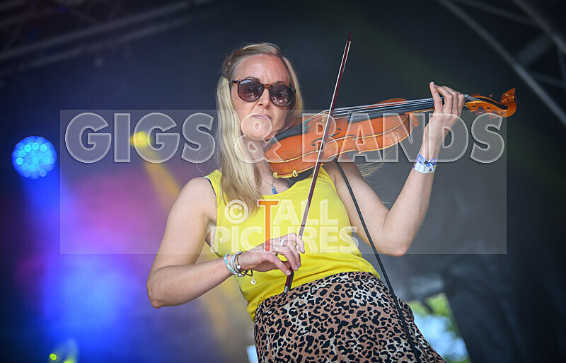 Buffalo Hudleston-726 - BUFFALO HUDLESTON