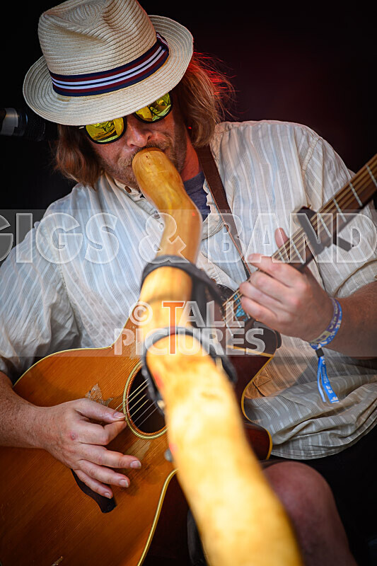 Buffalo Hudleston-725 - BUFFALO HUDLESTON