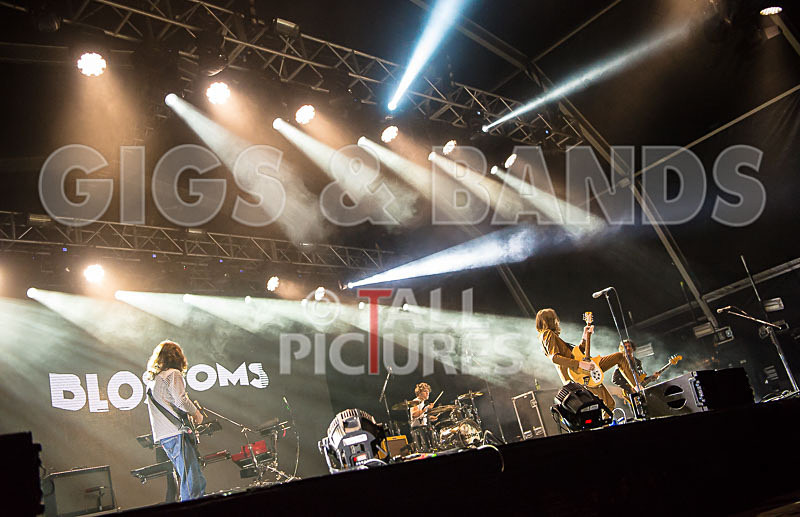 Blossoms-18 - BLOSSOMS