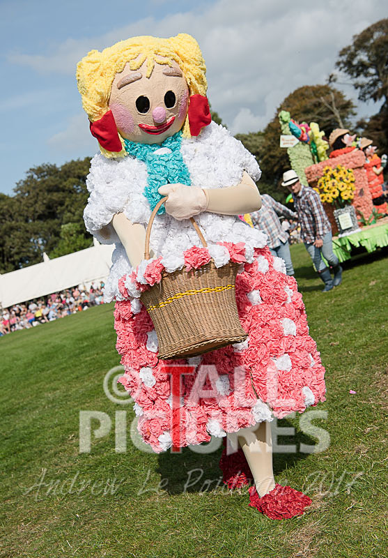 North Show 2017-37 - NORTH SHOW 2017