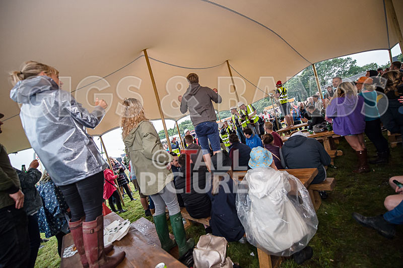 Weekender Festival 2017_Scene-73 - JERSEY WEEKENDER 2017_THE SCENE