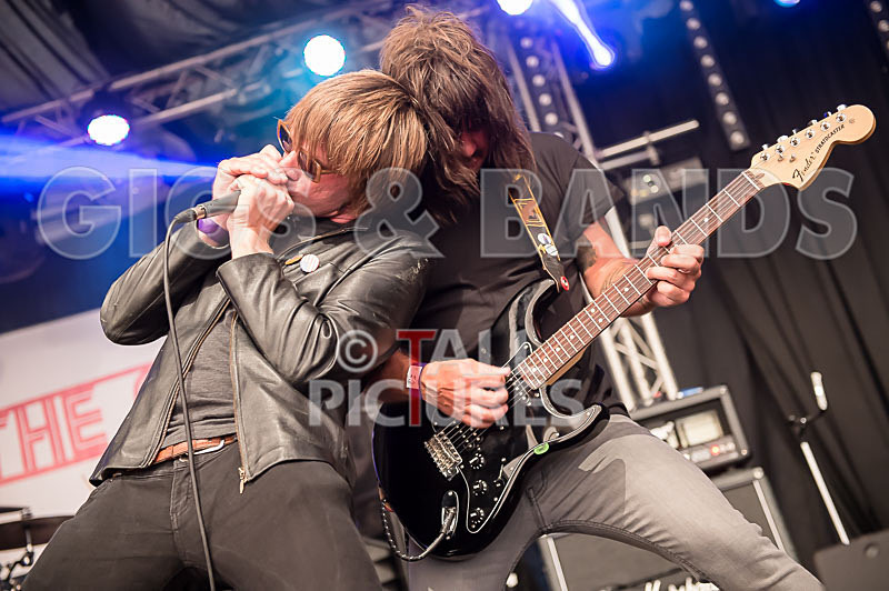 The Cryptics-34 - THE CRYPTICS