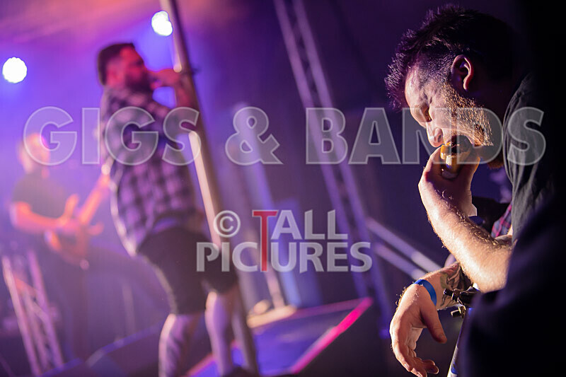 Granite Wolf-85 - GRANITE WOLF