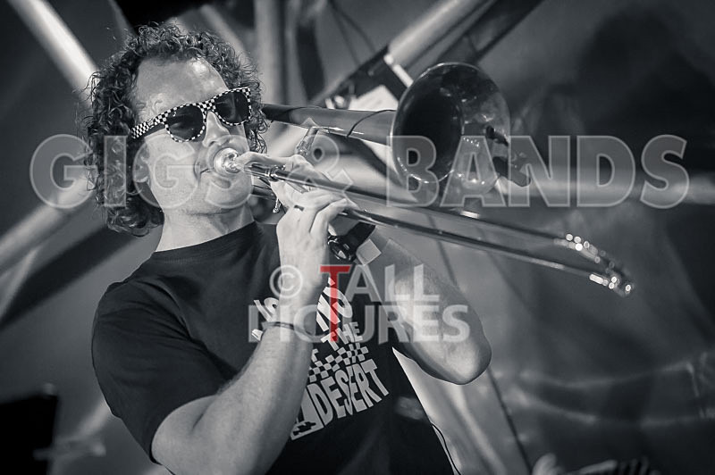 Sons of the Desert-321 - SONS OF THE DESERT