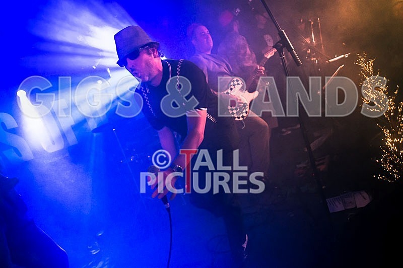 Sons of the Desert-159 - SONS OF THE DESERT