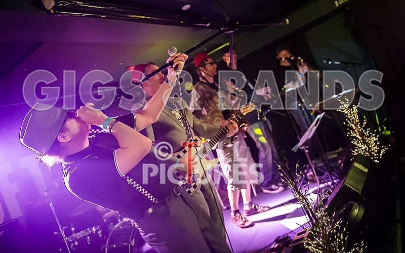 Sons of the Desert-171 - SONS OF THE DESERT