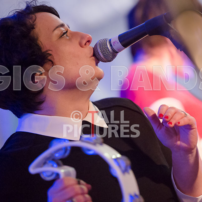 Swallows-10 - SWALLOWS