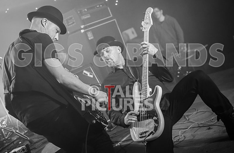 Peppered Ant Legs-150 - PEPPERED ANT LEGS