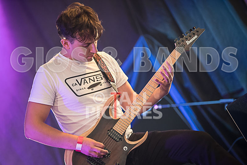 Granite Wolf-11 - GRANITE WOLF