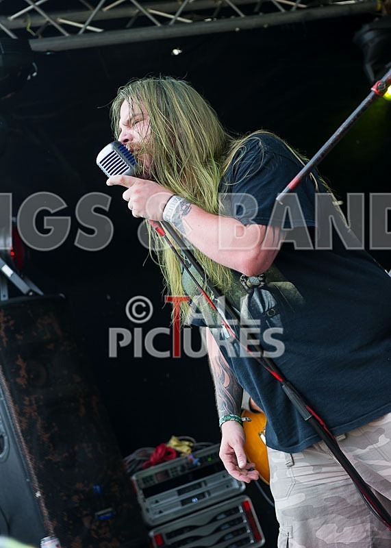 Stone Em All-41 - STONE EM ALL