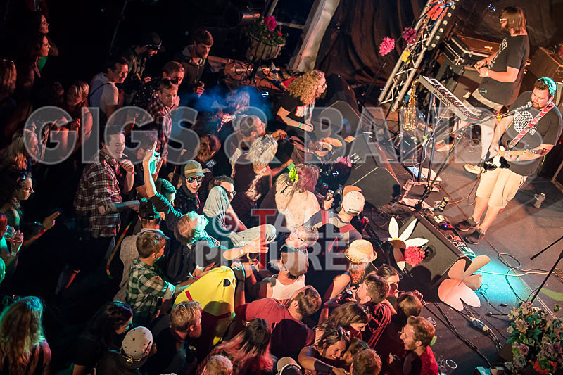 Honest Crooks-189 - HONEST CROOKS