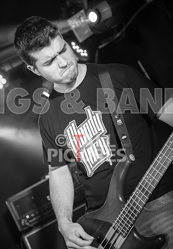 Demise of Sanity-81 - DEMISE OF SANITY