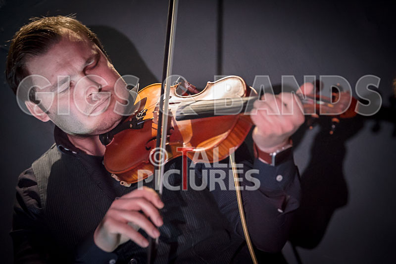 Blue Mountains-101 - VALE EARTH FAIR UNPLUGGED 2018