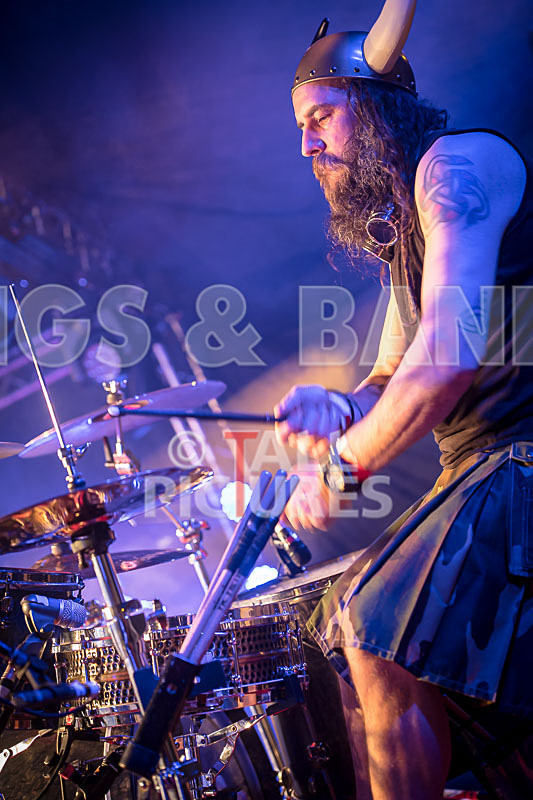 Peppered Ant Legs-215 - PEPPERED ANT LEGS