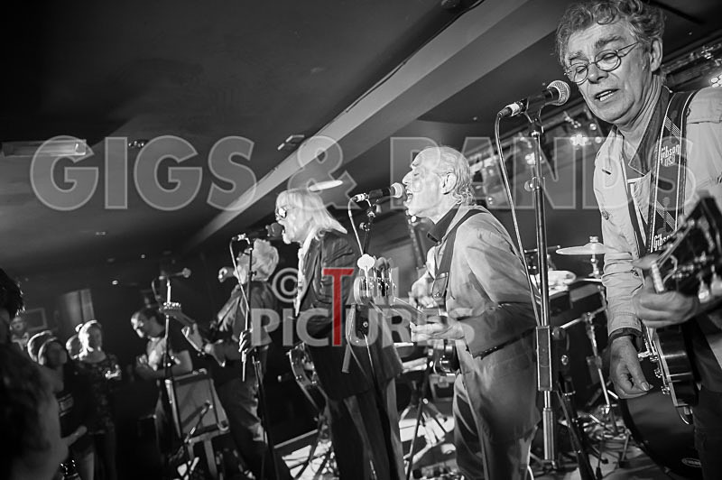 The Blockheads-62 - THE BLOCKHEADS