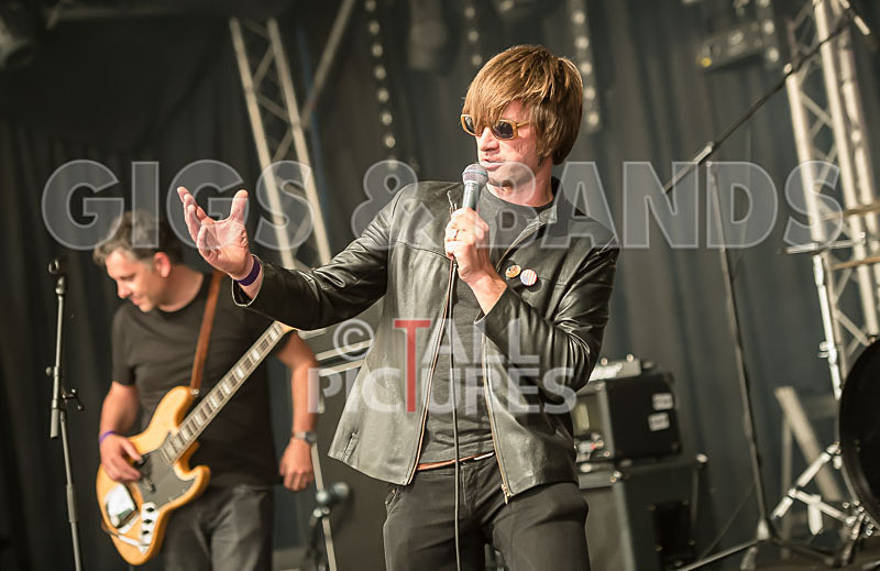 The Cryptics-75 - THE CRYPTICS