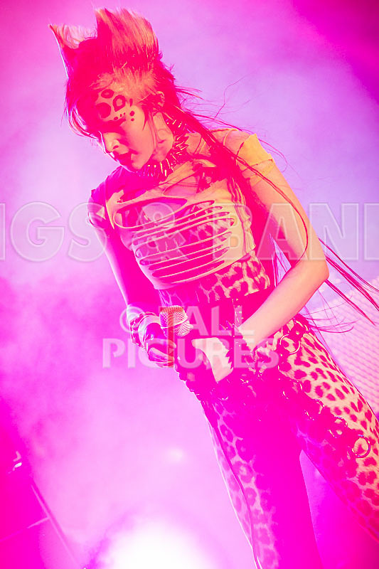 Pussycat and the Dirty Johnsons-5 - PUSSYCAT AND THE DIRTY JOHNSONS