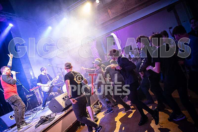 Tom Domaille-8 - THE GUESTS