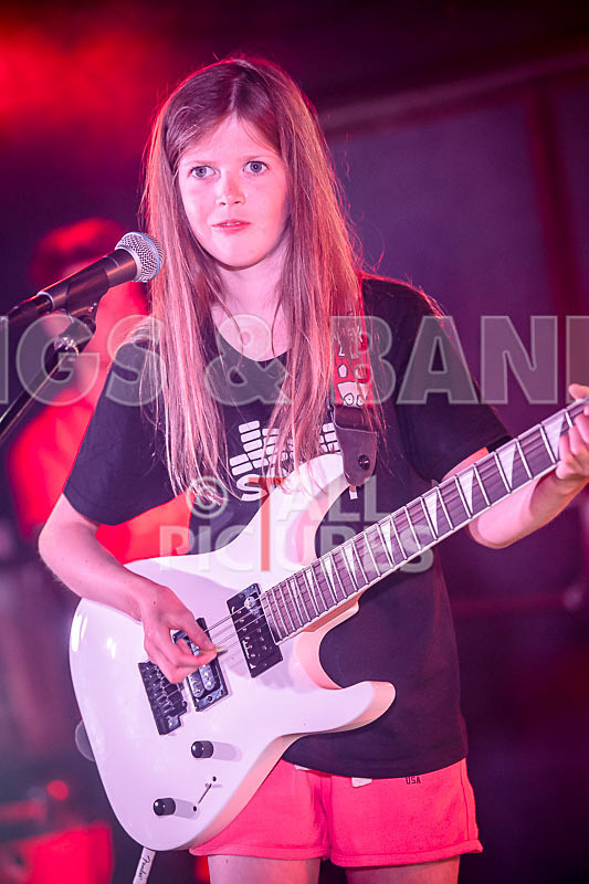 The Flaming Flamingos-20 - THE FLAMING FLAMINGOES