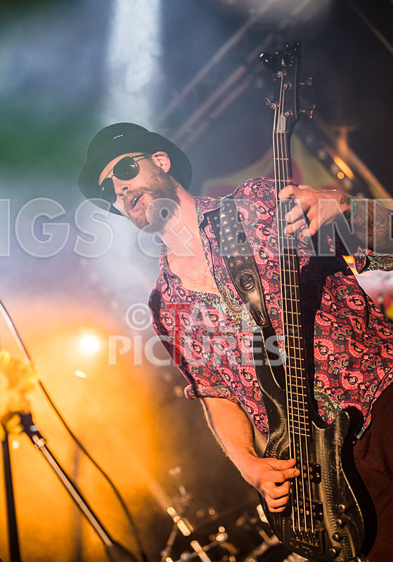 Surfin Birds-23 - SURFIN' BIRDS