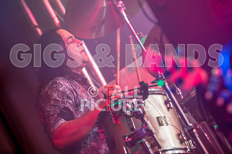 King Rat the Soul Cats-396 - KING RAT AND THE SOUL CATS