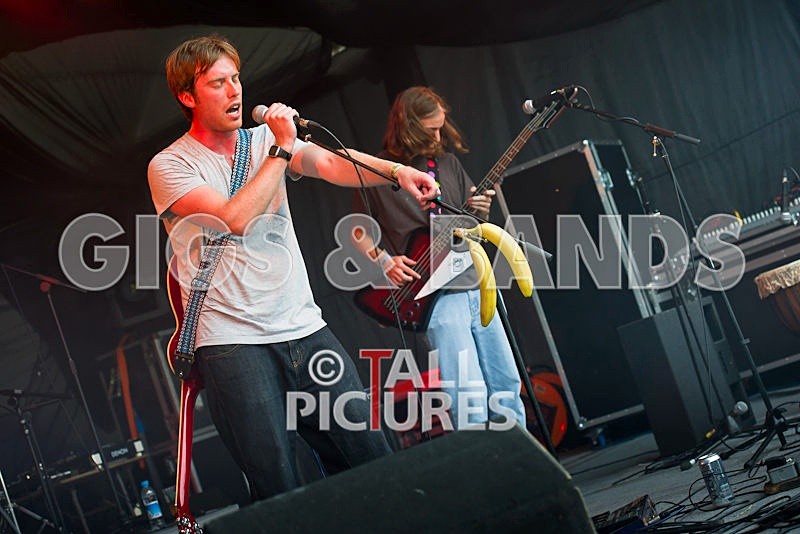 Tantale-24 - TANTALE at IVY CASTLE EARTH FAIR