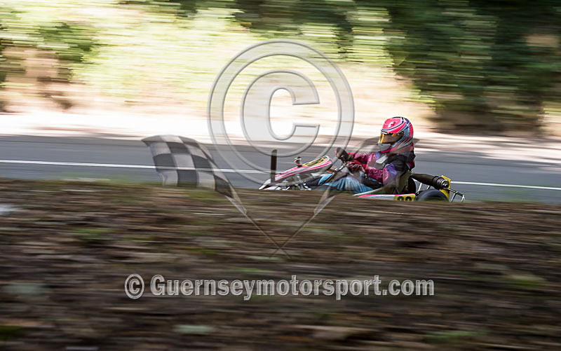 Hillclimb_08-08-2015_KART-41 - HILL CLIMB_08-08-2015_KARTS