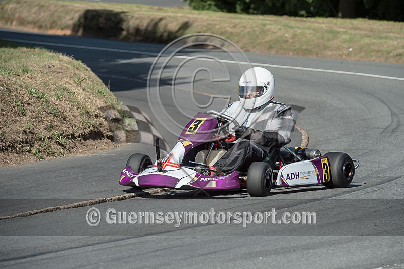 Hillclimb_02-08-2014_Kart-19 - KARTS_02-08-2014