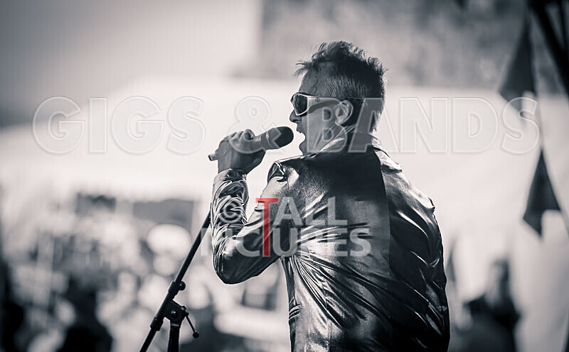 The Sacred Hearts-89 - THE SACRED HEARTS