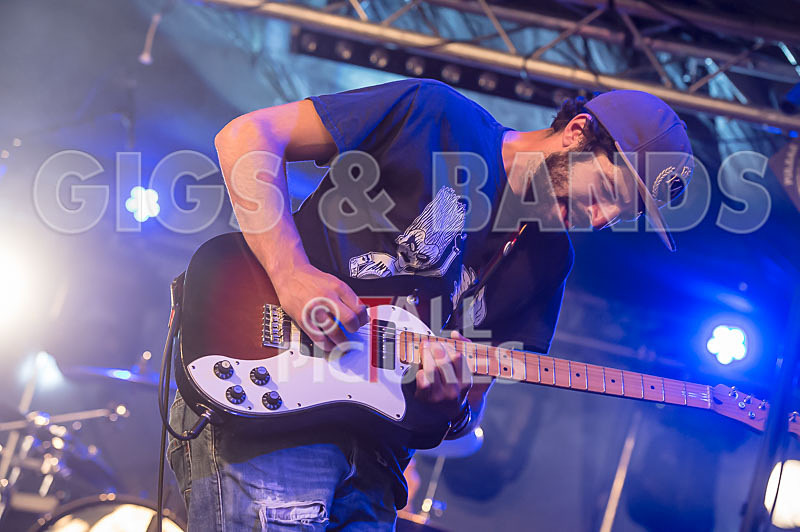 Static Alice-397 - STATIC ALICE