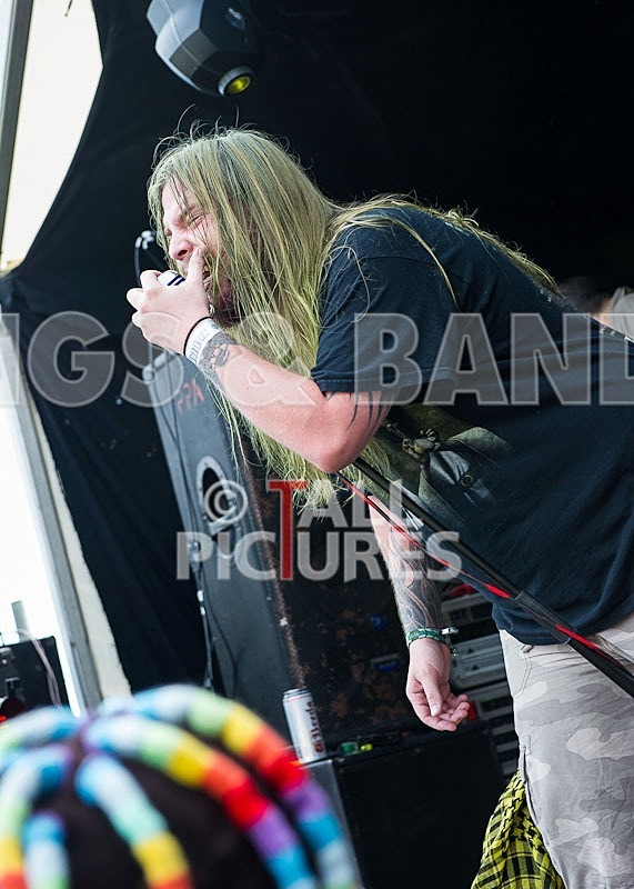 Stone Em All-34 - STONE EM ALL