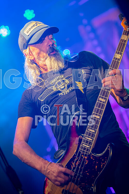 The Electric Shakes-195 - THE ELECTRIC SHAKES