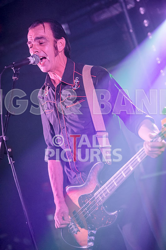 The Electric Shakes-152 - THE ELECTRIC SHAKES