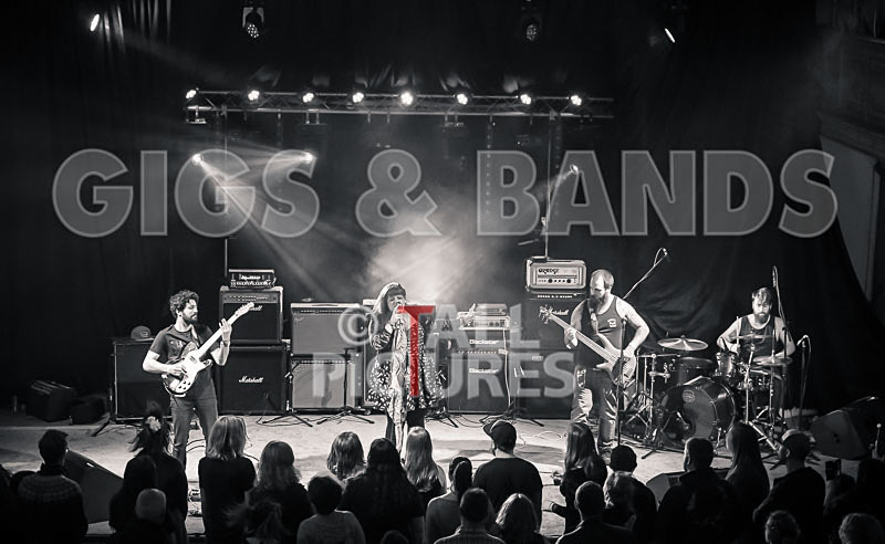 Static Alice-818 - STATIC ALICE