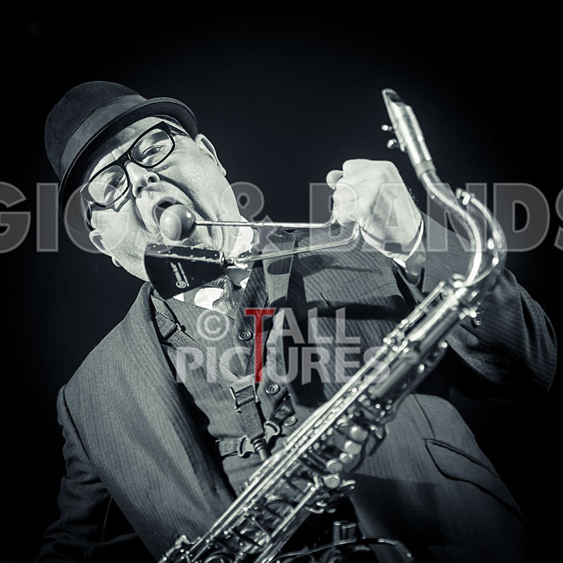 Madness-39 - MADNESS