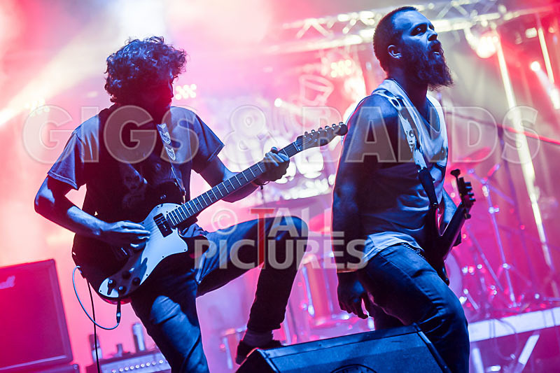 Static Alice-494 - STATIC ALICE