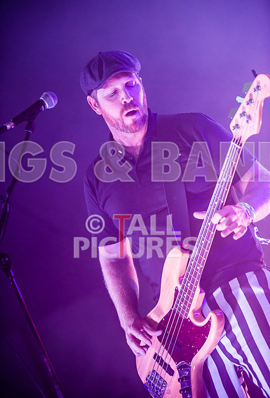 The Smooth Hounds-25 - THE SMOOTH HOUNDS