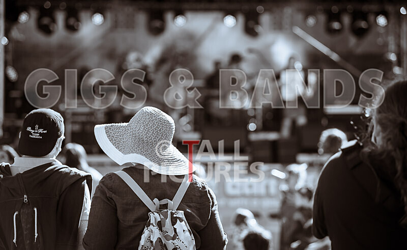 Vale Earth Fair 2020_THE SCENE-23 - VALE EARTH FAIR 2020_THE SCENE