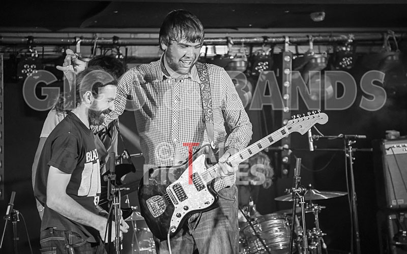 To the Woods-247 - TO THE WOODS